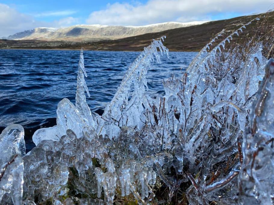 Delikat Hytte Omgitt Av Hallingdals Vakre Fjell Ол Экстерьер фото