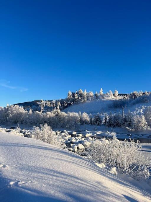 Delikat Hytte Omgitt Av Hallingdals Vakre Fjell Ол Экстерьер фото
