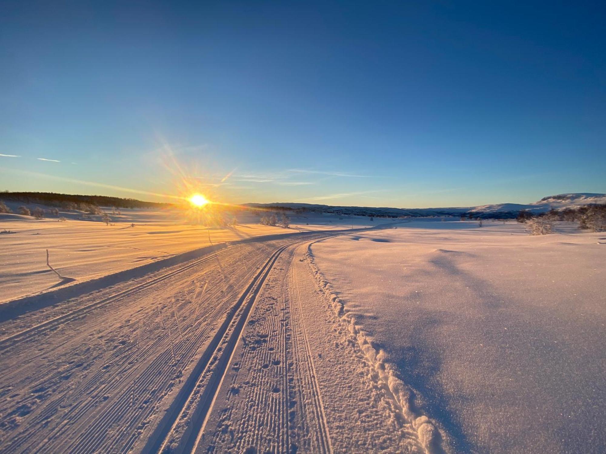 Delikat Hytte Omgitt Av Hallingdals Vakre Fjell Ол Экстерьер фото
